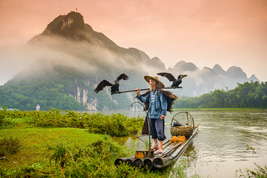 Cormoran en Yangshuo